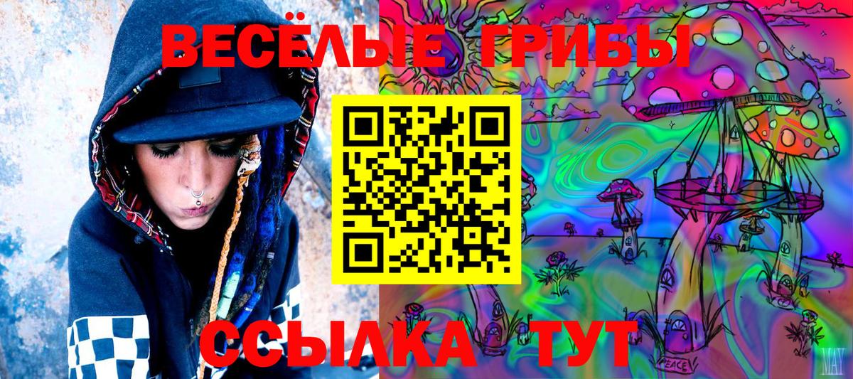 Галлюциногенные грибы Cubensis Калач-на-Дону