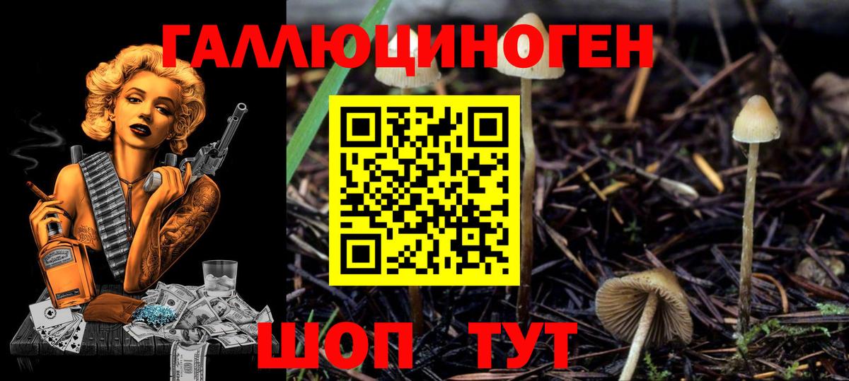 Галлюциногенные грибы MAGIC MUSHROOMS  Вход с VPN  наркота  Калач-на-Дону 