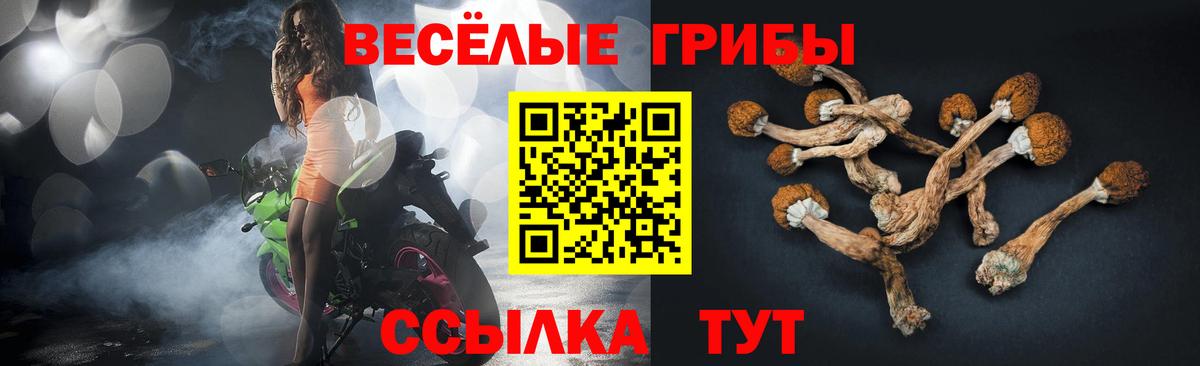 Псилоцибиновые грибы Калач-на-Дону